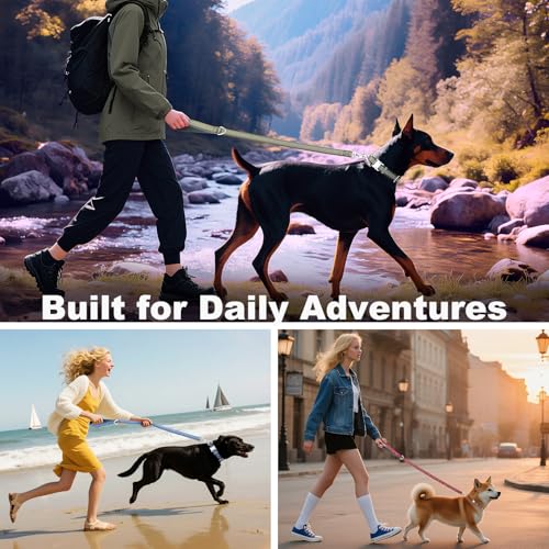 Plutus Pet Heavy Duty Dog Leash with Lockable Aluminum Carabiner, 4/6 Feet Long, Double-Sided Reflective Nylon, Padded Handle, for Puppy, Small, Medium and Large Dogs (Gray, 1" x 4') - color: Gray, size: 1" x 4'