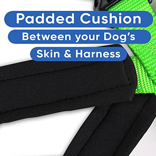 Pawtitas Reflective Padded Dog Harness for X-Small Dogs – Adjustable Puppy Step-in Vest | Fits Chest 14–18 in | No Pull Training Harness | XS | Green - color: Green, size: X-Small (Pack of 1)