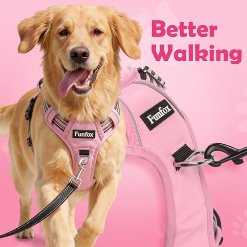 Funfox Dog Harness No Pull, Adjustable Pet Vest Harness, Super Soft Material with Vertical Handle Easy Control, Reflective Night Walking, 2 Leash Clips for Small Sized Dogs, Pink, S - color: Pink, size: Small