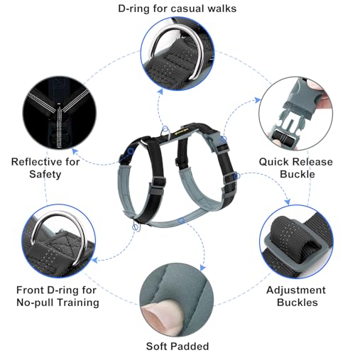Plutus Pet No Pull Dog Harness, Adjustable Nylon Harness with Soft Padding, Reflective and Heavy Duty Dog Harness for Small, Medium, Large Dogs(Black, XS) - color: Black, size: XS