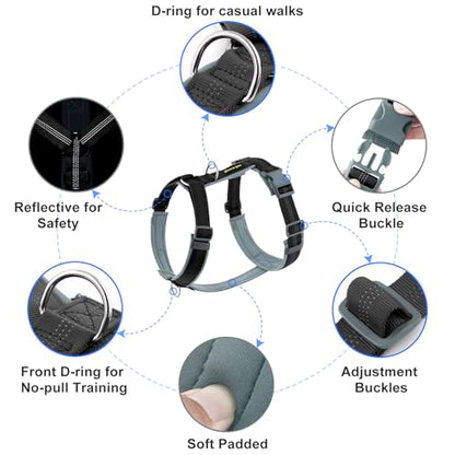 Plutus Pet No Pull Dog Harness, Adjustable Nylon Harness with Soft Padding, Reflective and Heavy Duty Dog Harness for Small, Medium, Large Dogs(Black, XS) - color: Black, size: XS