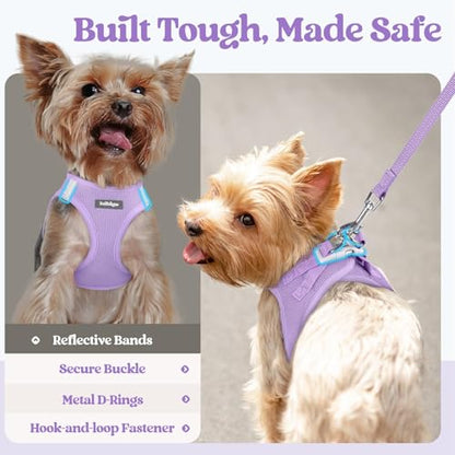 rabbitgoo Dog Harness Small Sized and Leash Set, Step in Soft Light Puppy Vest, Breathable Mesh Pet Harness, Reflective for Safe Easy Walking, Light Purple XS - color: Light Purple, size: Xs (chest: 13.3 - 15.5")