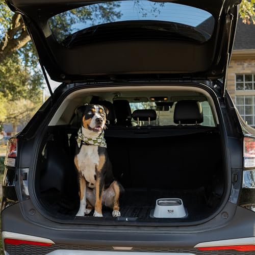 No Spill Dog Water Bowl with Silicone Mat - Spill Proof Slow Drinking Bowl for Home, Car & Travel - Mess-Free Water Bowl for Dogs