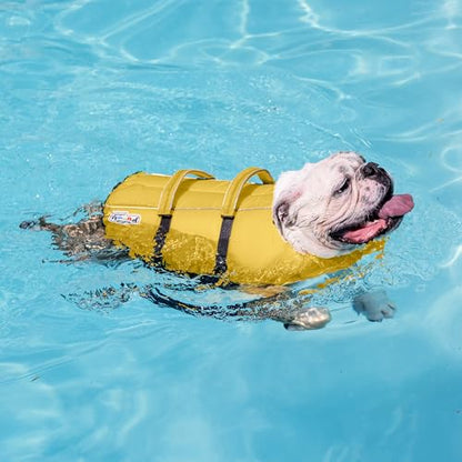 Outward Hound Granby Splash Yellow Dog Life Jacket, Medium - color: Yellow, size: Medium (Chest Girth: 21"-27")