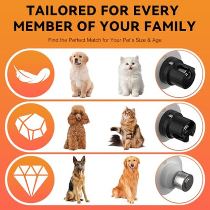 Silent Groom Pro Nail Grinder for Dogs - Quiet Dog Nail Grinder with LED Light, 3-Speed Cordless, 2000mAh Battery & 2 Grinding Heads for Safe Trimming of Small, Medium, Large Dogs and Cats