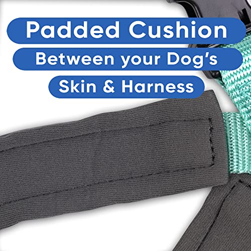 Pawtitas Reflective Padded Dog Harness for X-Small Dogs – Adjustable Puppy Step-in Vest | Fits Chest 14–18 in | No Pull Training Harness | XS | Teal - color: Teal, size: X-Small (Pack of 1)