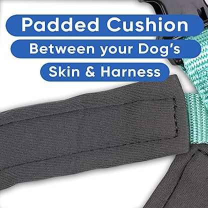 Pawtitas Reflective Padded Dog Harness for X-Small Dogs – Adjustable Puppy Step-in Vest | Fits Chest 14–18 in | No Pull Training Harness | XS | Teal - color: Teal, size: X-Small (Pack of 1)