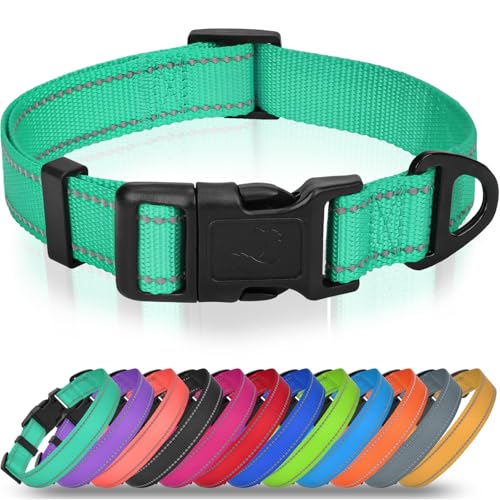 Joytale Small Dog Collar, Durable Double-Sided Reflective Nylon Collar for Night Safety, Adjustable Quick-Release for Active Breeds, Teal, S (3/4" Width) - color: Turquoise, size: S+: Width 3/4", Neck 10-16"