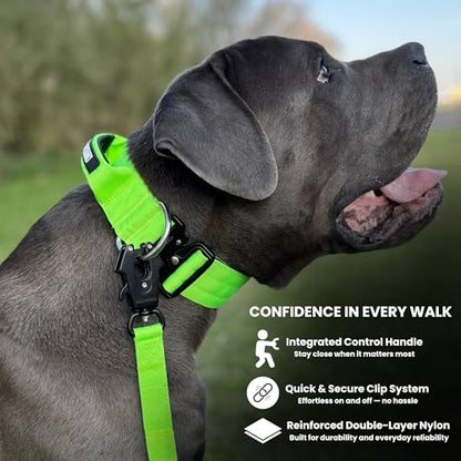 BULLYBREED | Heavy Duty Dog Leash, Tactical Dog Leash, Quick Release Frog Clip with Anti-Tangling Swivel System for Large Dogs that Pull with Soft Double Handles (5 FT Long, Neon Green) - color: Neon Green