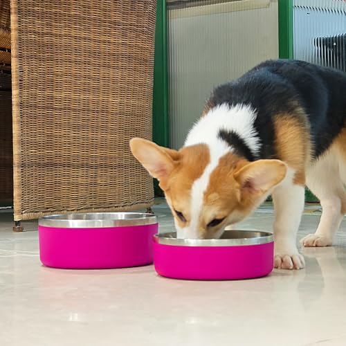 2 Pack Stainless Steel Dog Bowls, Outdoor Dog Water Bowl with Non Slip Rubber Bottom, Dishwasher Safe, Easy to Clean,40oz&64oz Pitaya - color: PITAYA