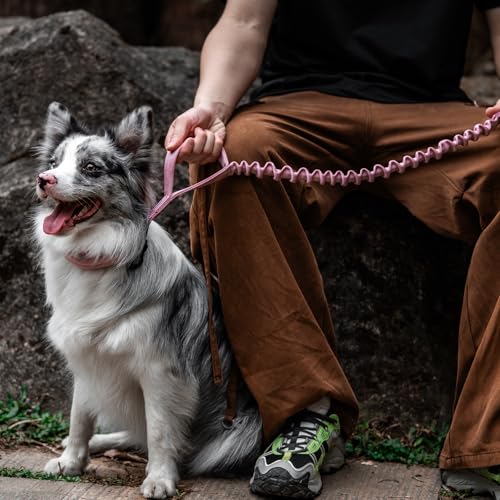 OneTigris Tactical Dog Training Bungee Leash with 2 Control Handle Quick Release Nylon Leads Rope - color: Pink