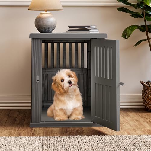 30-Inch Heavy Duty Dog Crate Furniture Lockable Indoor Outdoor Kennel & End Table for Small/Medium Dogs Decorative Plastic Pet Cage in Grey - color: Grey, size: 29.5"L x 21" W x 25.2"H