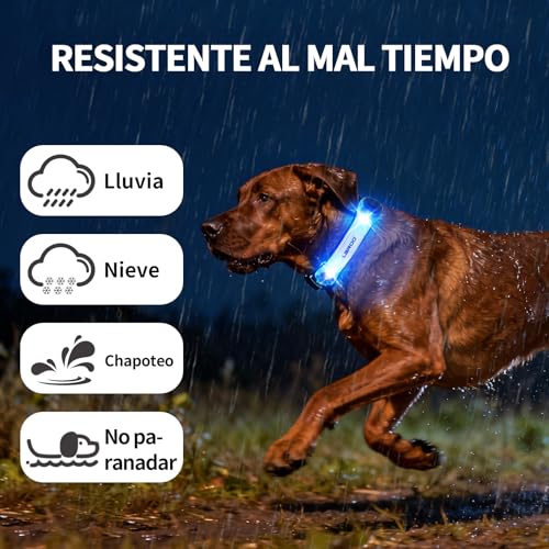 LaRoo LED Dog Collar Light, Hook & Loop Pet Safety Night Light, Glowing LED Strip for Dog Collar Leash Harness, High Visibility Waterproof Dog Lights for Night Walking Running Camping (Blue) - color: Blue