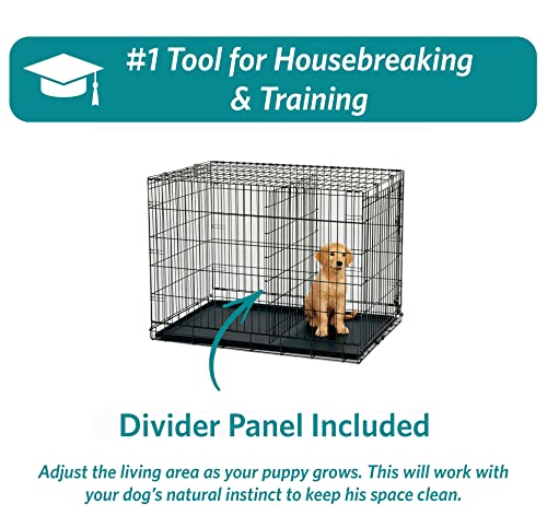MidWest Homes for Pets 24-Inch iCrate for Small Breeds, 12-20 lbs, Single Door Folding Dog Crate with Divider Panel, Leak-Proof Tray & Secure Latch, Portable, Durable & Easy to Assemble - size: 24.8"L x 17.9"W x 19.5"H