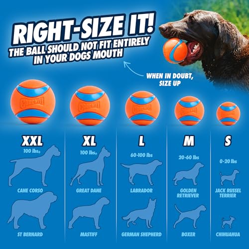 Chuckit! Pro Fetch Toy Dog Ball Launcher For Dogs; Compatible With Any Medium Chuckit! Medium Size 25 Inch + Glow Ball - size: 25in