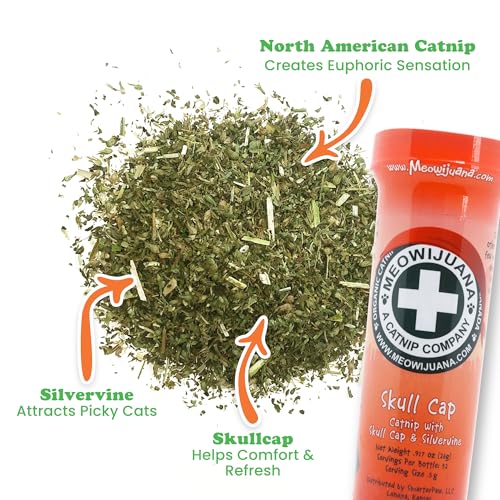 Meowijuana Jump 'n' Jamb Door Hanging Cat Toy | Sloth | Refillable Interactive Catnip Toy | Promotes Play and Cat Health | Includes Potent Catnip Grown in North America - color: Sloth Bundle
