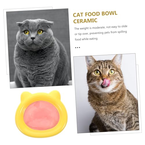 Kisangel Ceramic Cat Food Bowl for Whisker Fatigue Relief Shallow Bear-Shaped Dish for Cats and Small Dogs Non-Slip Design for Wet and Dry Feeding Easy to Pet Plate