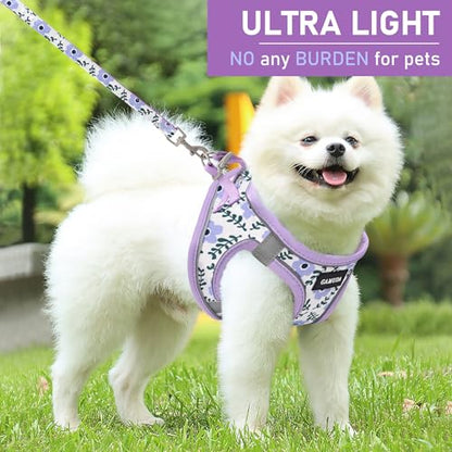 Small Dog Harness Collar and Leash Set, Step in No Chock No Pull Soft Mesh Adjustable Dog Vest Harnesses Plaid Reflective for Dogs Puppy Cats Kitten Rabbit (Purple Flower, XS) - color: Purple Flower, size: XS
