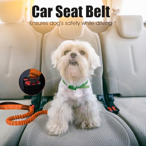 BUMBIN 6Ft Dog Leash - Large Dogs, Bungee Leash with 2 Handles, Heavy Duty, No Pull Shock Absorbing, Orange - color: Orange