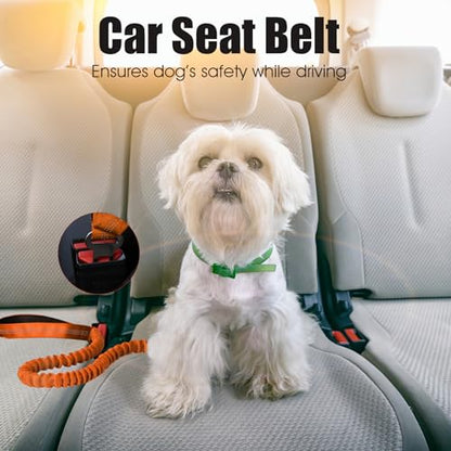BUMBIN 6Ft Dog Leash - Large Dogs, Bungee Leash with 2 Handles, Heavy Duty, No Pull Shock Absorbing, Orange - color: Orange