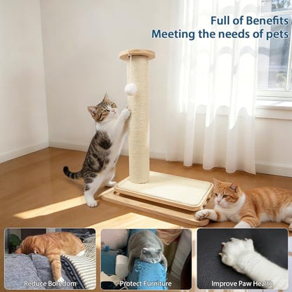 Cat Scratching Post, 5-in-1 Natural Sisal Cat Scratcher with Wood Base, Interactive Ball Track & Spring Feather Toy for Indoor Kittens Small Cats 18" - size: 18 inches