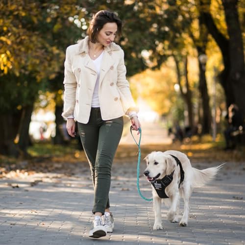 BUMBIN 6Ft Dog Leash Large Dogs, Bungee Dog Leash with 2 Handles, Heavy Duty Leashes for Medium Small Dogs, No Pull Shock Absorbing，with Car Seat Belt for Training, Blue - color: Blue