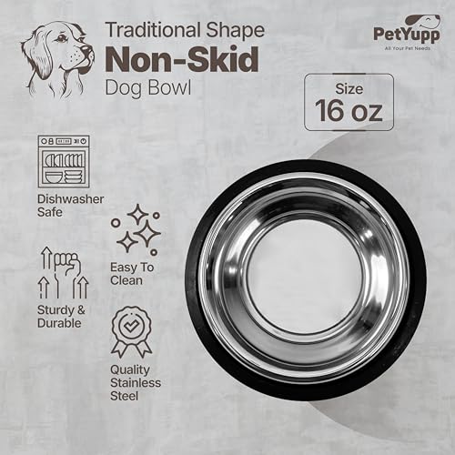 Stainless Steel Dog Bowl - Non-Skid Rubber Base, Rust-Proof & Dishwasher Safe – Durable Food and Water Bowl for Dogs and Cats - 16oz - size: Non Skid Bowl - 16 oz
