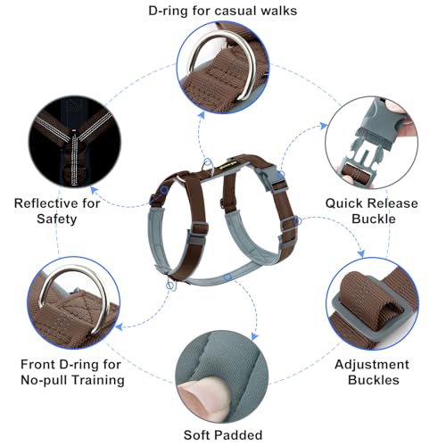 Plutus Pet No Pull Dog Harness, Adjustable Nylon Harness with Soft Padding, Reflective and Heavy Duty Dog Harness for Small, Medium, Large Dogs(Chocolate, S) - color: Chocolate, size: S