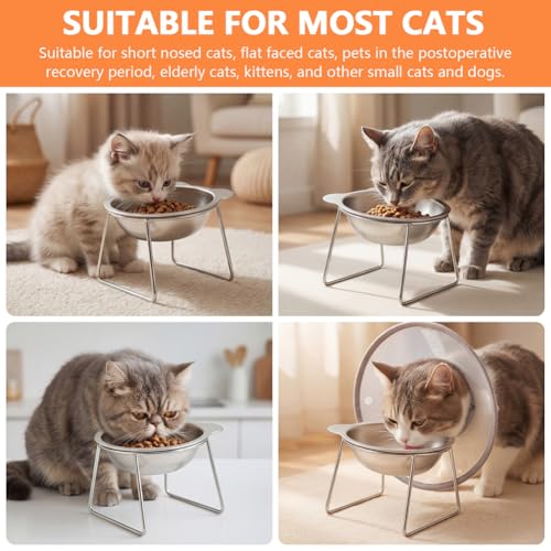 2 Pack Elevated Cat Bowls, 15° Tilted Stainless Steel Raised Cat Dishes for Food and Water, Whisker-Friendly Design with Non Slip Base and Scoop for Small Cats and Dogs