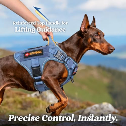 rabbitgoo Tactical Dog Harness Small Sized, No Pull Upgraded Reflective Heavy Duty Molle Vest with Handle, Adjustable Military Service Dog Vest for Walking Hiking Training, Blue, S - color: Blue Reflective, size: Small