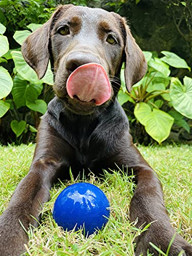 Tuff Pupper SuperChewer Tough Dog Ball Toy | Lifetime Replacement | Strong Natural Rubber | Great Dog Fetch Toy | Chew Toys for Dogs | Ultra Durable Chew Toys for Aggressive Chewers | for All Breeds - size: Medium - 2.5 Inch / 8 oz