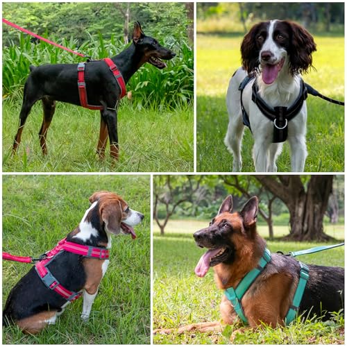 Plutus Pet No Pull Dog Harness, Adjustable Nylon Harness with Soft Padding, Reflective and Heavy Duty Dog Harness for Small, Medium, Large Dogs(Teal, S) - color: Teal, size: S