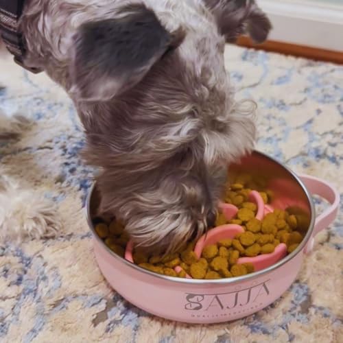 Pink Slow Feeder 3-in-1 Travel Dog Bowl Set – 30 OZ Stainless Steel + 20 OZ Collapsible BPA-Free Silicone Bowl Lid | Silicon Slow Feeder Insert | Non-Slip, Anti-Choking|, Carabiner | We give Back - color: Slow feeder Pink Bowl