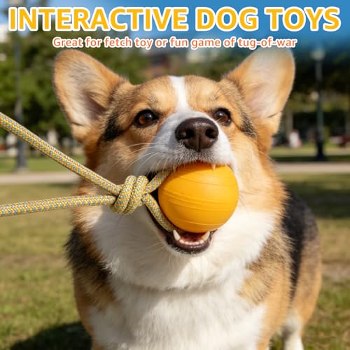 SCENEREAL Floating Dog Pool Toys - Ball on Rope Fetch and Tug-of-War Toy for Medium Large Dogs Outdoor Training, EVA Rubber Water Pet Interactive Toys for Summer Beach, Yellow - color: Yellow