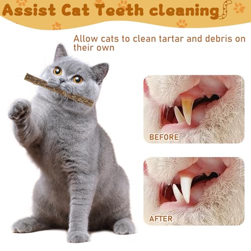 WoLover Silvervine Sticks for Cats, Natural Catnip Matatabi Chew Sticks Teeth Molar Chew Toys for Cat Kitten Kitty (at Least 12 PCS) - size: 12 Count