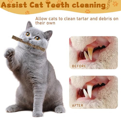 WoLover Silvervine Sticks for Cats, Natural Catnip Matatabi Chew Sticks Teeth Molar Chew Toys for Cat Kitten Kitty (25 PCS) - size: 25 Count (Pack of 1)