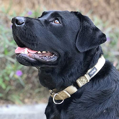 Martingale Dog Collar Medium Green |Escape - Proof Heavy Duty Nylon Durable No Slip, Ideal for Training & Daily Walks - color: Military Green, size: Medium