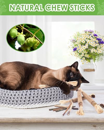 Silvervine Chew Sticks for Cats, 10 Pack Natural Catnip Chew Toys for Kittens Teeth Cleaning, Matatabi Dental Care, Increase Appetite, Calm Cat Anxiety and Stress, Aggressive Chewers Cat Dental Toy - color: 10 Pack
