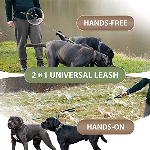 SparklyPets - Hands Free Dog Leash with Reflective Stitches - Waist Leash for Medium & Large Dogs Walking, Hiking, Training, Jogging, Canicross, Running - color: Olive Green, size: 2 dogs M/L