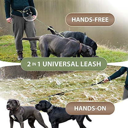 SparklyPets - Hands Free Dog Leash with Reflective Stitches - Waist Leash for Medium & Large Dogs Walking, Hiking, Training, Jogging, Canicross, Running - color: Olive Green, size: 2 dogs M/L