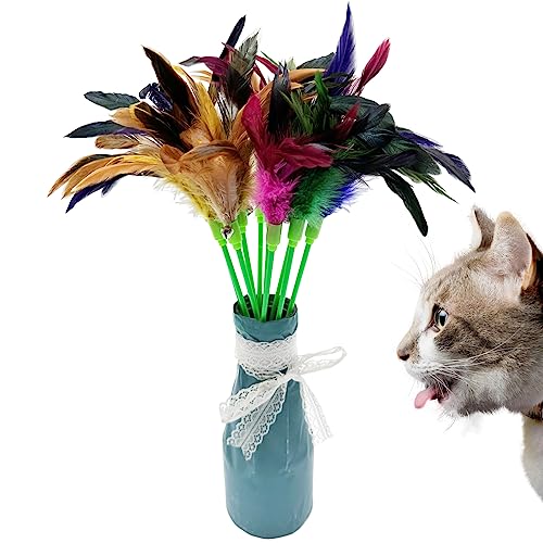 Interactive Cat Wand Feather Toys, 10 Pieces Feathers Stick Cat Toys for Indoor Cats Play - color: 10PCS Cat Wand Toys