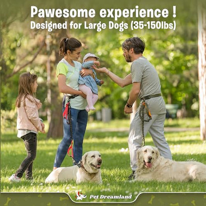 Exquisite Hands-Free Leash for Large Dogs. Ultimate Comfort & Freedom for Walking, Running, Hiking. Premium Quality & Versatile Waist Belt. Your Dog Will Love This Running Leash. - color: Grey & Blue