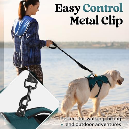 rabbitgoo Escape Proof Dog Harness Medium, Soft Padded Full Body Pet Harness, Reflective Adjustable No Pull Vest with Lift Handle and Leash Clip for Walking Hiking Training, Dark Green, M - color: Dark Green, size: Medium (Pack of 1)