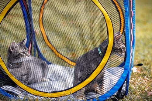 Pet Fit For Life Build-Your-Own Cat Enclosure - Collapsible Mesh Indoor & Outdoor Cat Cube - Perfect for Indoor Cats, Kittens on Patios, Yard & Camping