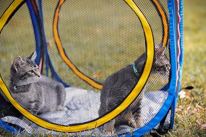 Pet Fit For Life Build-Your-Own Cat Enclosure - Collapsible Mesh Indoor & Outdoor Cat Cube - Perfect for Indoor Cats, Kittens on Patios, Yard & Camping