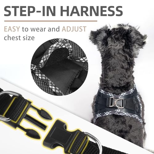 PUPTECK Dog Harness and Leash Set for Small Medium Dogs No Pull Step-in Soft Mesh Puppy Cat Vest Harnesses Reflective at Night, Black S - color: #1 Black(Basic Mesh), size: S(CHEST 14.5"-16", 6.6-14 lbs)