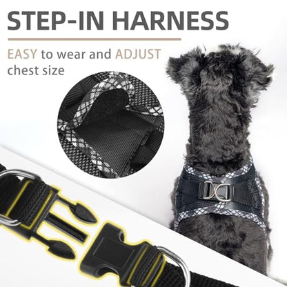 PUPTECK Dog Harness and Leash Set for Small Medium Dogs No Pull Step-in Soft Mesh Puppy Cat Vest Harnesses Reflective at Night, Black L - color: #1 Black(Basic Mesh), size: L(CHEST 18"-20", 16.5-22 lbs)