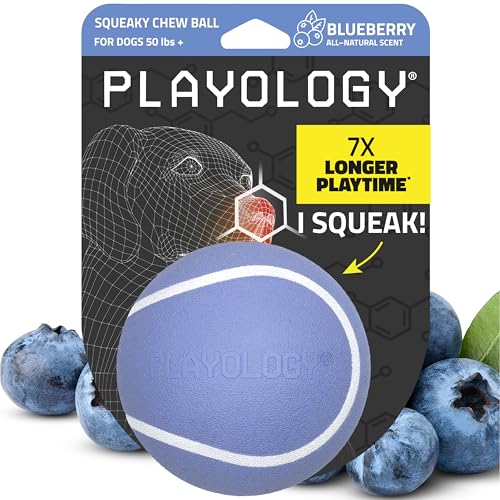 Playology Dog Toys | Squeaky Chew Ball - Bouncy Durable Floating Fetch Ball for Dogs | Jumbo Blueberry Scented Toy - Easy to Clean and Made from Non Toxic Materials - size: Jumbo, style: Blueberry
