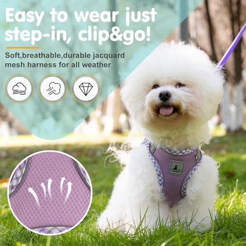 Dog Harness & Leash Set - No Pull Soft Breathable Small Dog Harness, Adjustable Reflective Step-in Vest for Puppy, Kitten, Cats - color: purple, size: xs