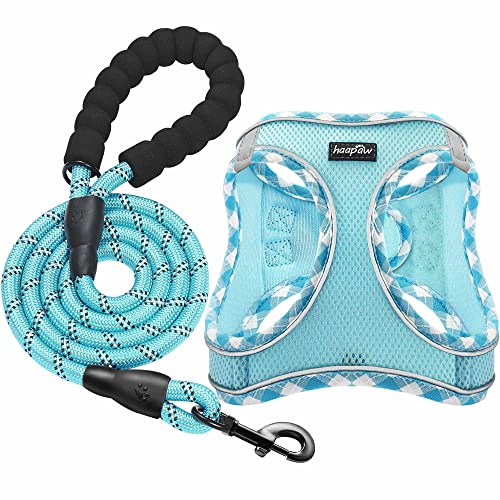 haapaw Dog Harness with Leash Set, No Pull Adjustable Reflective Step-in Puppy Harness with Thickened Padded Vest for Extra-Small/Small Medium Dogs - color: Turquoise, size: L